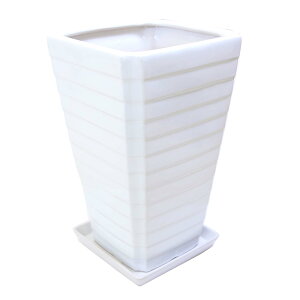 Aւp zCgXNGA픫iG^Cvj ij{퐻 M̃Zbgi{+lbgT[rXjbϗtA u[~OXP[v