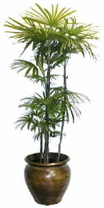 V| 10 Pi iMtEJo[Ȃj y̕\ʁFEbh`bvbϗtA u[~OXP[v