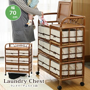 h[ h[`FXg 3i 70cm LX^[t  ^ oXPbg o ߗގ[ Eߏ ʏ AWA 