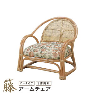 A[`FA  ֎q rO`FA It | [^Cv  ^ ٍ֎q ^ y