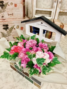 yt[Xgɂ܂zG߂̐ԃt[AWg@6500~y킢z