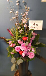 szByt[Xgɂ܂zG߂̐ԃt[AWg@19800~ysNEԌnz