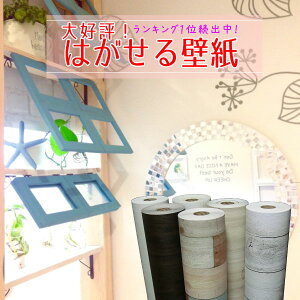 ǎ V[ ͂ CN V[g ̂t NX CNV[g 15mP(45`50cm)yIׂv[gzs ԕ Ƌ  ǎV[ h 킢 ؖ   sN 嗝 