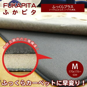 yhz ӂs^ MTCY 2p[170x170cm] ~O ӂvX łӂӂBłX~mG SUMINOE Z]D ӂ҂ tJs^ OK