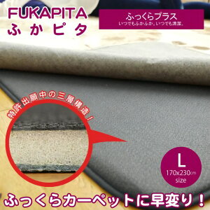 yhzӂӂ ~O ӂs^ LTCY 170x230cm 3p ӂvX 擾̃Ỏɕ~ŃNbV&hAbv鉺~p̃Zp[gOBX~m