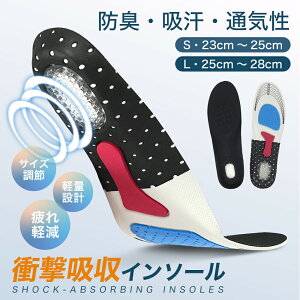 y  zC\[ Ռz ~ fB[X Y  X|[c V[Nbg ~ A[`T|[g Q  ɂ ɂ d y L  y܂  hL