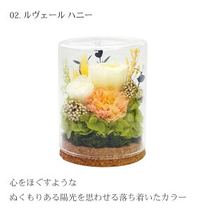 y X[p[SALE z vU[uht[ KXh[ t[ ͂Ȃ ỉ CeA t[ Mtg  pbg v[g  o a Mtg   a 