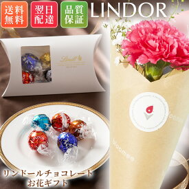 当店限定★リンツ リンドールとお花のSET ブルーミー リンツチョコレート リンドール チョコ 花とお菓子 母の日 母の日ギフト 母の日プレゼント 食べ物 お菓子 スイーツ グルメ 花とスイーツ あす楽 誕生日プレゼント 母の日 ははの日 ギフトセット プチギフト