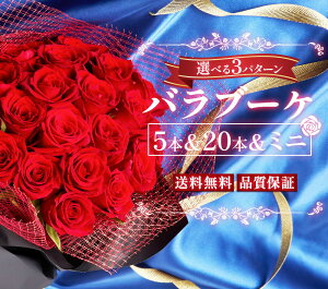 【限定クーポン配布】バラ 薔薇 花束 ブーケ 20本 5本 ミニブーケ お花ギフト お中元 御中元 プレゼント 誕生日プレゼント ギフト プチギフト バラ 豪華 ブーケ 送料無料 土日発送OK 生花 記念