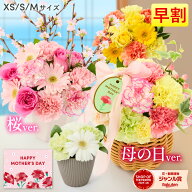 【超早割】母の日 桜 花 ギフト 誕生日 卒業 送別 フラワーアレンジ ホワイトデー 生花 お祝い プレゼン…