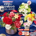 【限定クーポン配布】花 ギフト お花 誕生日 アレンジ 花 お見舞い プレゼント フラワーアレンジメント M S XSサイズ 送料無料 アレンジ バラ フラワー 生花 お祝い フラワーギフト 花瓶いらず プレゼント 花 50代 60代 70代 クリスマス