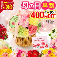 ＼早割＆P5倍／ 母の日 花 ギフトアレンジ 誕生日 お祝い そのまま飾れる フラワーアレンジ 生花 プレゼ…