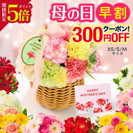 ＼早割＆P5倍／ 母の日 花 ギフトアレンジ 誕生日 お祝い そのまま飾れる フラワーアレンジ 生花 プレゼ…