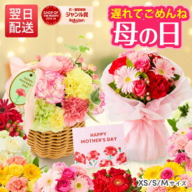 【翌日配送】花 ギフト カーネーション アレンジ 誕生日 お祝い そのまま飾れる フラワーアレンジ 生花 プレゼント 送料無料 フラワーギフト 花瓶いらず 義母 女友達 彼女 妻 プレゼント 50代 60代 70代 お見舞い 退院 退職 送別会 結婚記念日