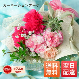 プレゼント ギフト 花 お花 カーネ カーネーション 豪華 ブーケ あす楽 送料無料 花束 生花 誕生日 記念日 バレンタインデー　ホワイトデー お祝い おしゃれ 可愛い 素敵 ちょっとしたプレゼント ブルーミー 母の日 仏花