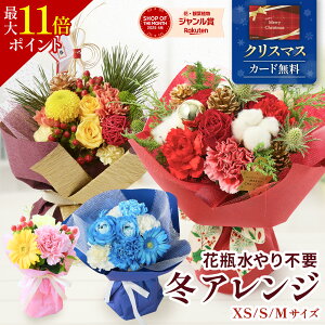 ySSN[|z ԑ Mtg a j NX}X  AW ԂƃXC[c u[P v[g t[Mtg o ̂܂܏u[P ԕr炸 X^hu[P ԂƂ