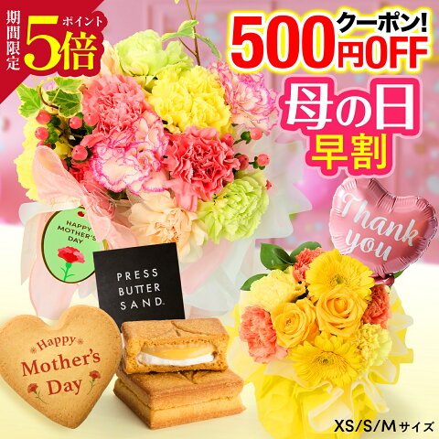 ＼早割&P5倍／母の日 花 ギフト 花束 誕生日 花とスイーツ カーネーション お祝い アレンジ プレスバターサンド 生花 退職 記念日 ブーケ プレゼント フラワーギフト バラ そのまま飾れるブーケ 花とお菓子 義母 祖母 継母 50代 60代 70代 80代