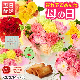 【翌日配送】花 ギフト カーネーション 花束 誕生日 スイーツ お祝い アレンジ 生花 退職 記念日 ブーケ フラワーギフト 義母 女友達 彼女 妻 プレゼント 50代 60代 70代 お見舞い 退院祝い 退職祝い 送別会 結婚記念日