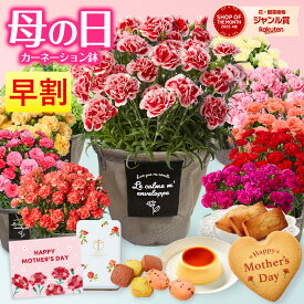母の日 2026 カーネーション鉢 5号 鉢カバー付き 花 ギフト 義母 義実家 50代 60代 70代 ははの日 送料無料 母の日カード付き プレゼント ギフト 母の日ギフト プレゼント お花 オシャレ 誕生日プレゼント プレゼント スイーツ お祝い 御祝い