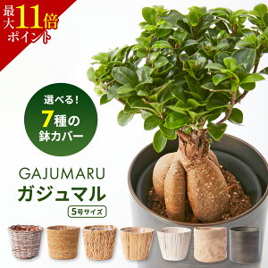 ySSN[|zKW} 5TCY ϗtA Mtg zj K^̖  CeA IV JXj  Vzj AEj JƏj LO zj 70 Ε Ε 