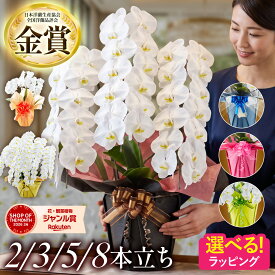 胡蝶蘭 お祝い ギフト 品質保証 選べる 2本立ち 3本立ち 42輪以上 5本立ち 70輪以上 8本立ち 104輪以上 高さ約75〜95cm 14輪以上 ラッピング お祝い プレゼント 花 生花 内祝い 開店 開院 開業 移転 就任 昇進 当選 贈り物 還暦 喜寿 御供 開店祝い