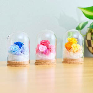 y 13܂Ł@KXh[vU[uht[   ԑ a LO LO l     j Ԃ c v[g Ď  FB ̓ v[g  M