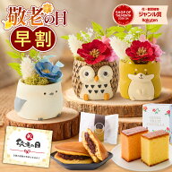 敬老の日 早割 ギフト プレゼント 花 プリザーブドフラワー フラワーアレンジメント 動物 ふくろう シマ…