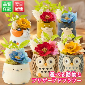 アニマルポット プリザーブドフラワー ギフト プレゼント 花フラワーアレンジメント 動物 ふくろう シマエナガ 犬 スイーツ お菓子 和菓子 花とお菓子 60代 70代 80代 90代 おじいちゃん おばあちゃん 孫 孫から 送料無料