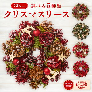 【限定クーポン配布】クリスマスリース 23~29cm Xmas クリスマス Christmas おしゃれ 結婚祝い 出産祝い 誕生日 インテリア 魔除け お歳暮 玄関 花アレンジ 送料無料 土日発送OK アレンジメント ナ
