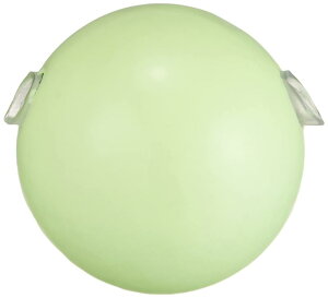 FV NISSIN JbgEtOVJ[ 30 O[