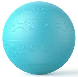 PROIRON �o�����X�{�[�� 65cm �΂�񂷂ځ[�� �g���[�j���O�K�C�h�p�^�[���t�� ���� �W���{�[�� �o�����X�{�[�� �֎q �X�|�[�c �ω׏d300KG �A���`�o�[�X�g��C����t�� (6�F)