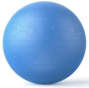 PROIRON �o�����X�{�[�� 65cm �΂�񂷂ځ[�� �g���[�j���O�K�C�h�p�^�[���t�� ���� �W���{�[�� �o�����X�{�[�� �֎q �X�|�[�c �ω׏d300KG �A���`�o�[�X�g��C����t�� (6�F)
