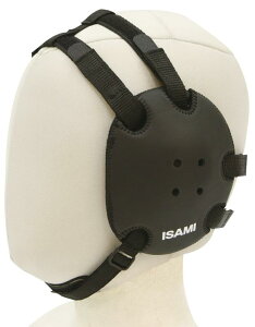 ISAMI(CT~) PUC[K[h A-HC-2