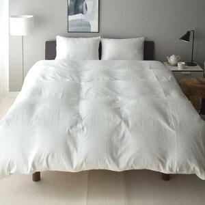 Sleep Tailor K[[ |zcJo[ { 100 Ags[E GRebNX ɗD k  |Jo[ |ӂƂJo[ aN_uK[[