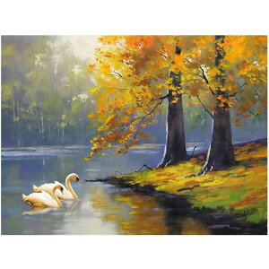 VIKMKM _ChA[g  5D_ChG _Chh NXXeb`Lbg r[YA[gSʓ\t^Cv DIY | hイLbg