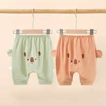 楽天市場】かぼちゃパンツ ベビー（カラーカーキグリーン）（キッズ 
