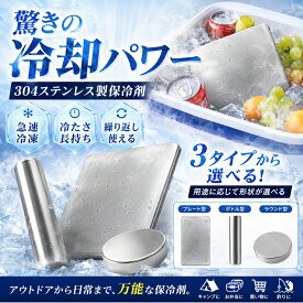 ＼赤字覚悟！当日出荷／保冷剤 ステンレス ステンレス保冷剤 長時間 強力保冷 クーラーボックス 小型 繰り返し使える 冷蔵冷凍対応 熱中症対策 急速冷却 アイスパック お弁当 釣り キャンプ BBQ