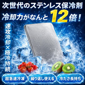 ＼65％OFF★即納／保冷剤 ステンレス ステンレス保冷剤 長時間 強力保冷 クーラーボックス 小型 繰り返し使える 冷蔵冷凍対応 熱中症対策 急速冷却 アイスパック お弁当 釣り キャンプ BBQ