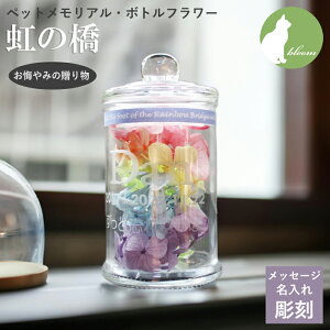 vU[uht[ vU {gt[  bZ[W KX    ybg  ̋   L 蕨 l\ AObY ybgA yb