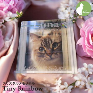 ybg e ʔv NX^ tHgt[ ʐ^  bZ[W KX    ybg ̋   L 蕨 l\ ~ ~ AObY ybg