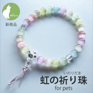 ybg 쐔  O r֔O ̋    蕨 VR ZiCg {ジ uXbg ybgX  L AObY yybgpr֔OE̋F for pets