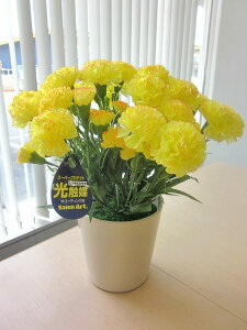 G} J[l[V CG[ A[gt[  ~j C@  AW ̓ Mtg v[g 蕨