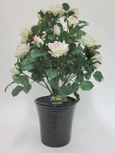 hhG}A[gt[iԁj@΂ioEKNj2{iisNjԂƊԈႦقǂ̃AȎБ̌ĂB蕨E̓EVzjEJXjEa