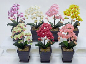 光触媒 胡蝶蘭 ”超質感” 光触媒アートフラワー 造花 SSS お好み3点セット 贈り物 母の日 新築祝 開店祝 誕生日 記念日 卒業式 入学式 ギフト お歳暮 お年賀 フラワー 花 母の日 インテリア 花びら アートフラワー 鉢植え【smtb-s】