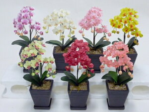 G} Ӓ hh G}A[gt[  SSS D3_Zbg 蕨 ̓ Vzj JXj a LO Ǝ w Mtg Ε N t[  ̓ CeA 