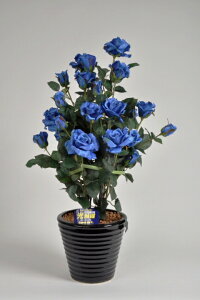 青 薔薇 造花の人気商品 通販 価格比較 価格 Com 青 薔薇 造花の人気商品 通販 価格比較 価格 Com
