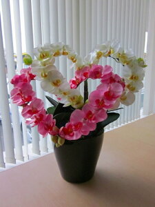 Ӓ G} n[gi_ujiEsNj n[ǧ`̃A[gt[iԁjłƂĂL[głB蕨E̓EVzjEJXjEaELOEƎEwE