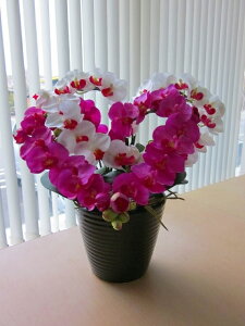 G} Ӓ n[gi_ujiԁEԁjn[ǧ`̃A[gt[iԁjłƂĂL[głB蕨E̓EVzjEJXjEaELOEƎEwEMt