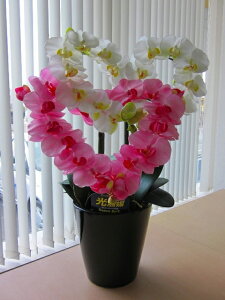 G} Ӓ n[gi_ujiEsNjn[ǧ`̃A[gt[iԁjłƂĂL[głB蕨E̓EVzjEJXjEaELOEƎEwE