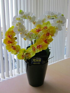 G} Ӓ n[gi_ujiECG[jn[ǧ`̃A[gt[iԁjłƂĂL[głB蕨E̓EVzjEJXjEaELOEƎEw